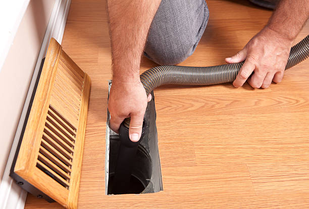 Best Mold and Mildew Removal from Ducts in Chester, SC